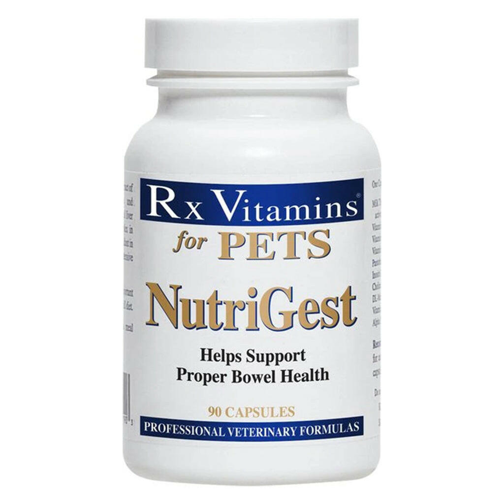 Rx Vitamins NutriGest Digestive Support for Dogs & Cats (90 capsules)