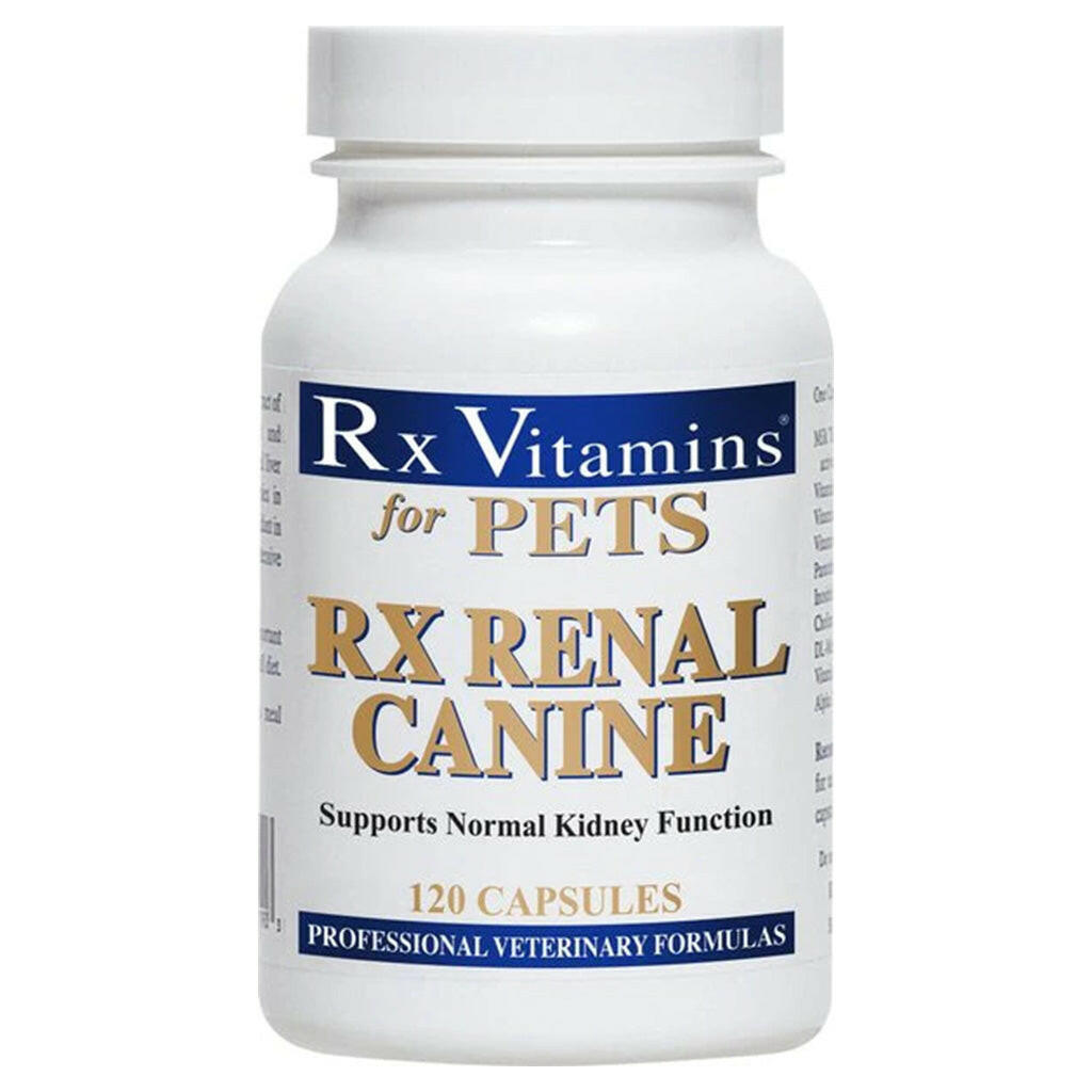 Rx Vitamins Rx Renal Canine Kidney Support For Dogs (120 capsules)