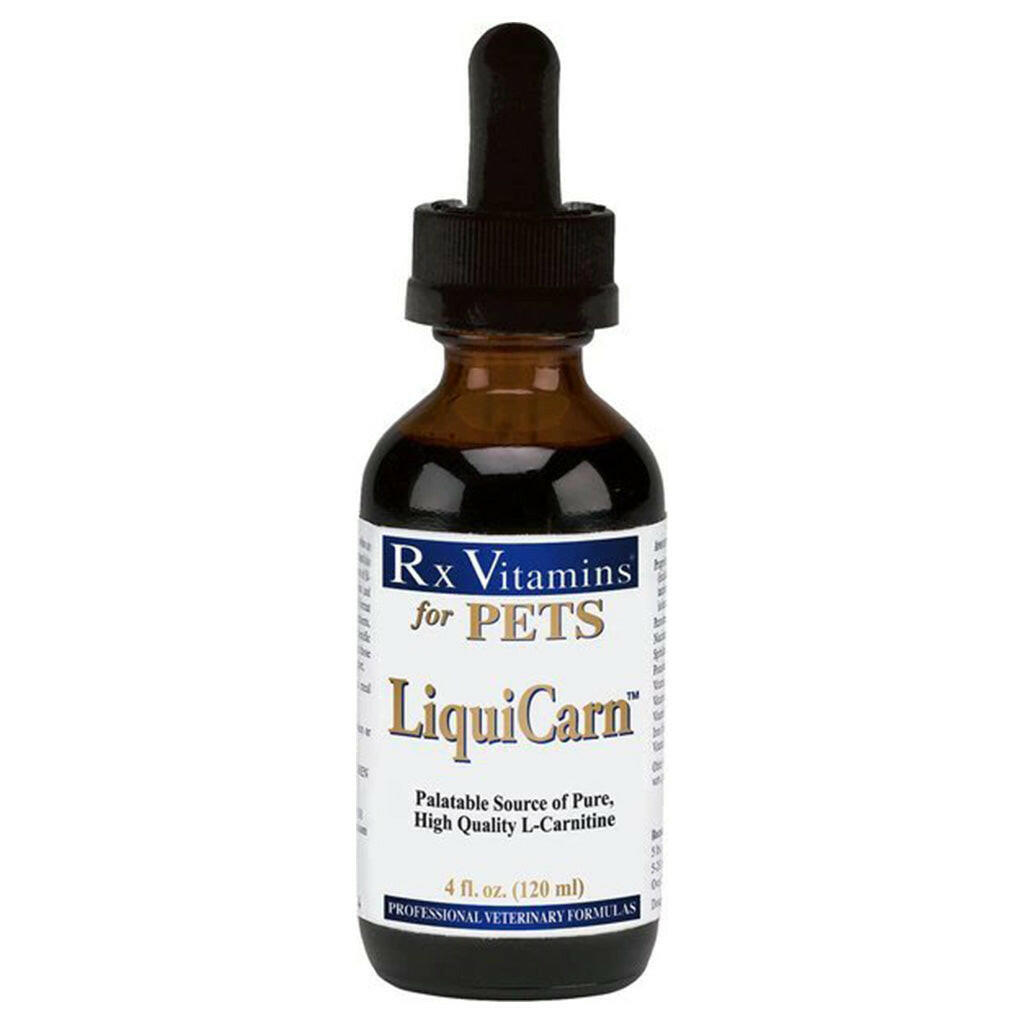 Rx Vitamins LiquiCarn Heart Supplement for Dogs and Cats (4 oz)