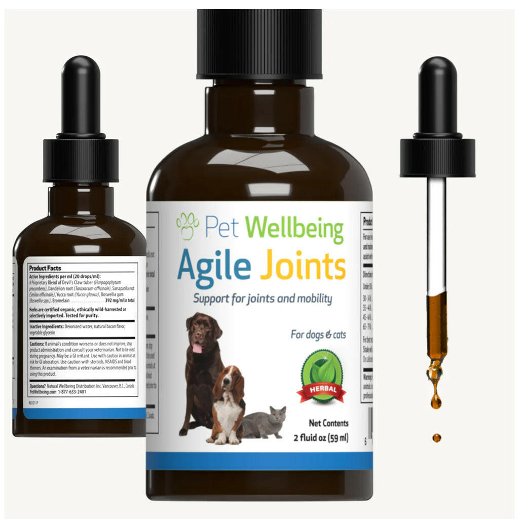 Pet Wellbeing- Agile Joints for Cat Joint Mobility