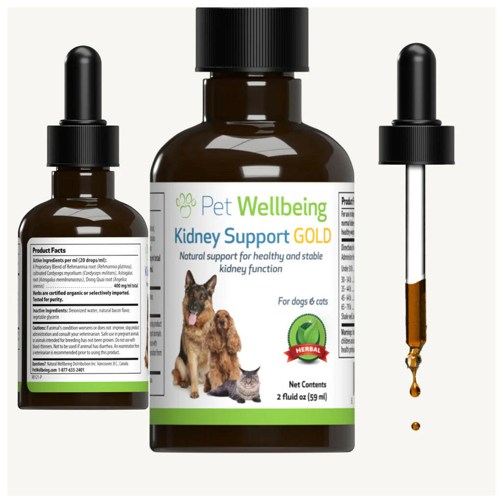 Pet Wellbeing Kidney Support Gold for Dogs
