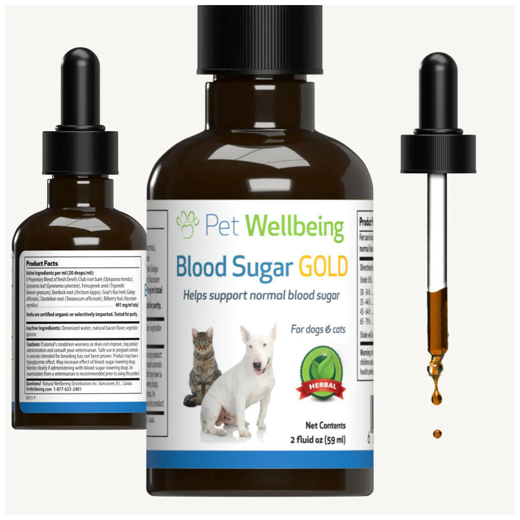 Pet Wellbeing Blood Sugar Gold for Cat Blood Sugar Support