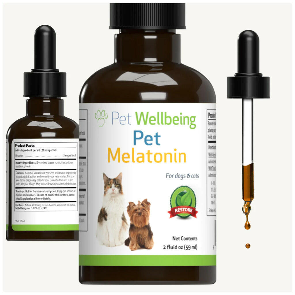 Pet Wellbeing Pet Melatonin for Dogs