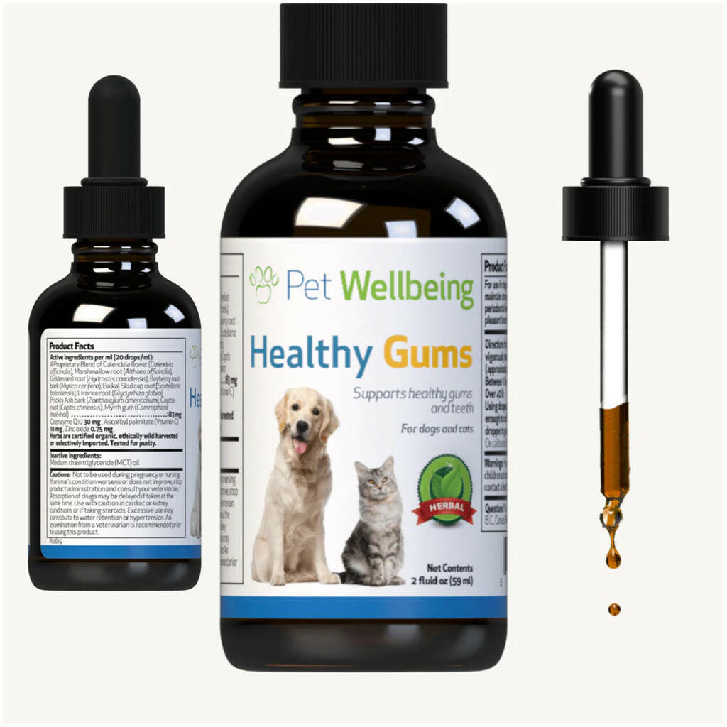 Healthy Gums for Canine Periodontal Health