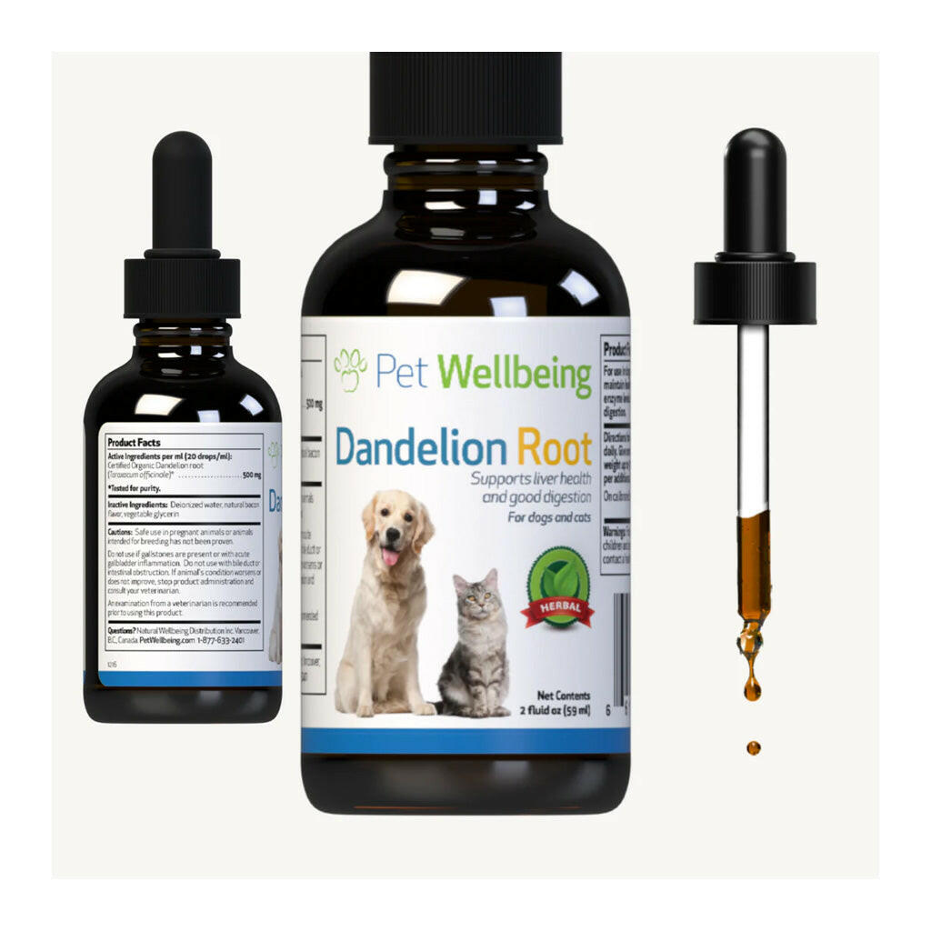Dandelion Root Digestive & Liver Support for Cats