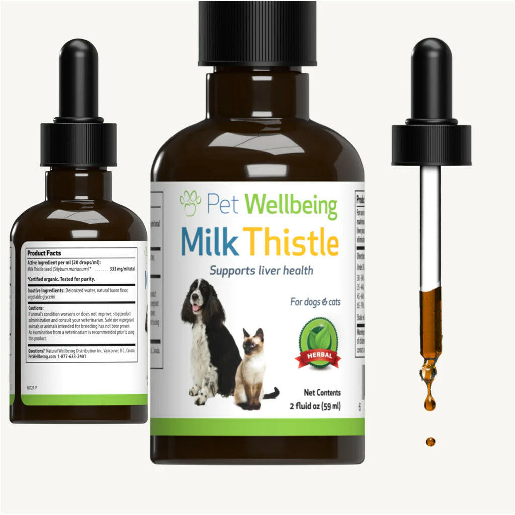 Milk Thistle Supplement for Healthy Liver Function in Dogs