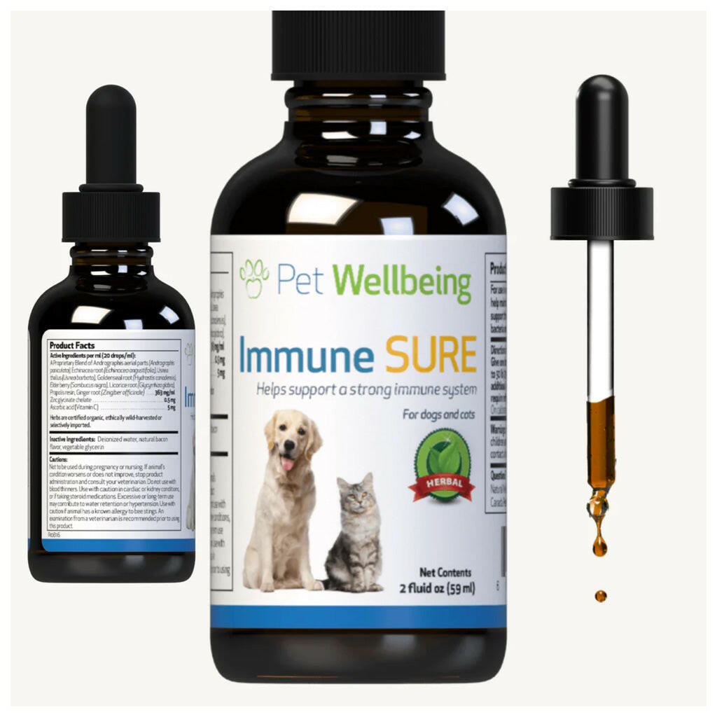 Immune SURE for Canine Immune System Support