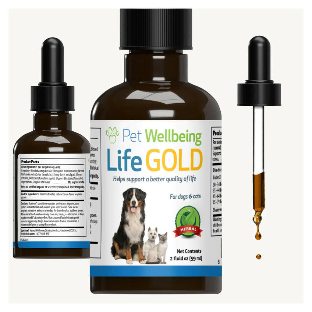 Pet Wellbeing Life Gold for Cats