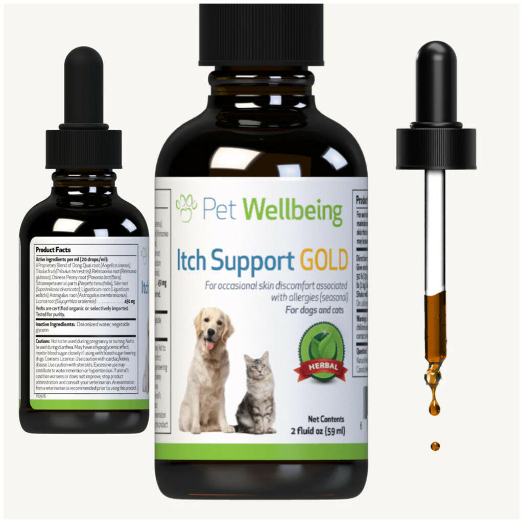 Pet Wellbeing Itch Support Gold - For Allergy-Related Itch in Dogs