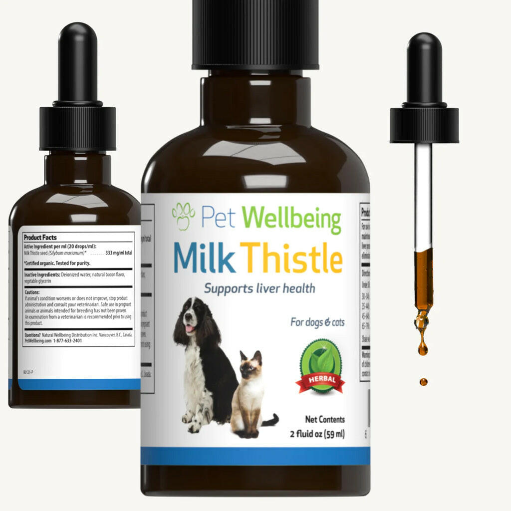 Milk Thistle - for Healthy Liver Function in Cats