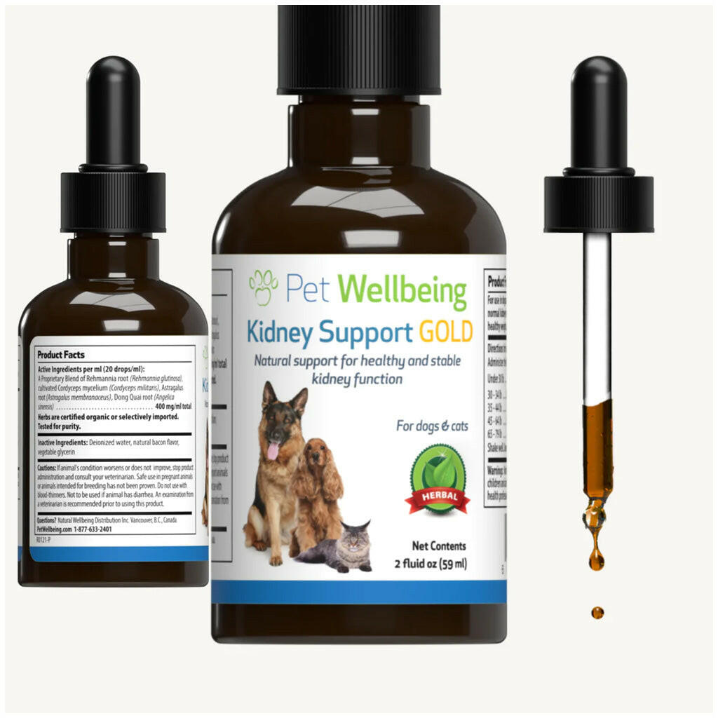 Pet Wellbeing Kidney Support Gold for Cats