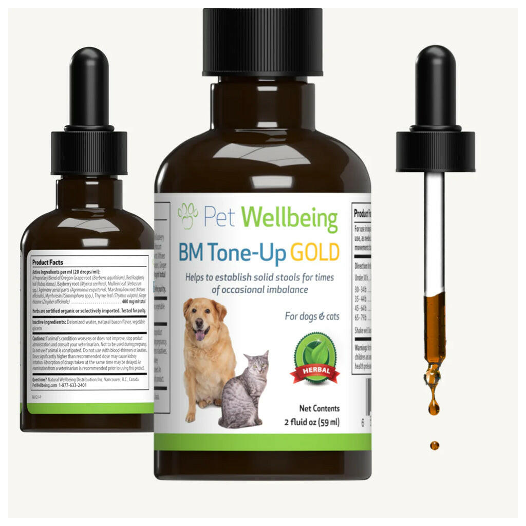 BM Tone-Up Gold for Loose Stools in Dogs