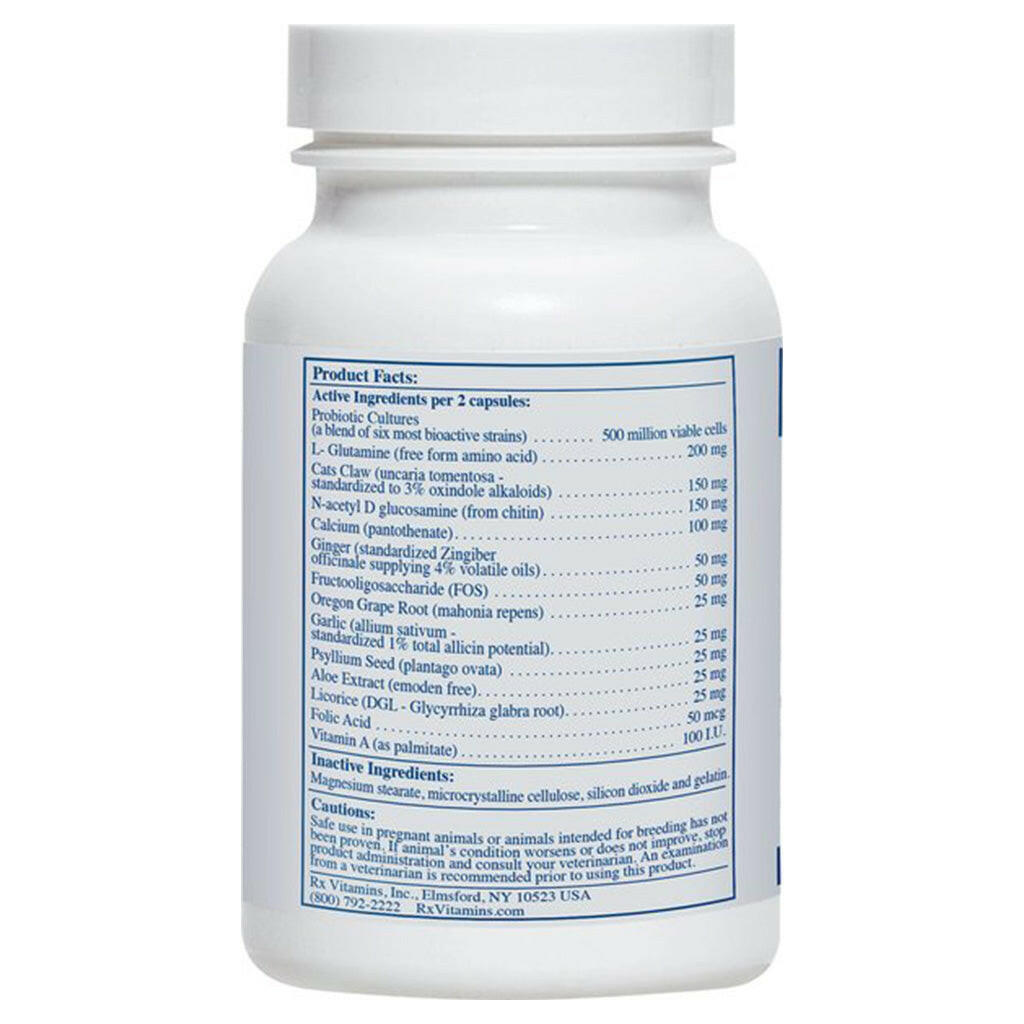 Rx Vitamins NutriGest Digestive Support for Dogs & Cats (90 capsules)
