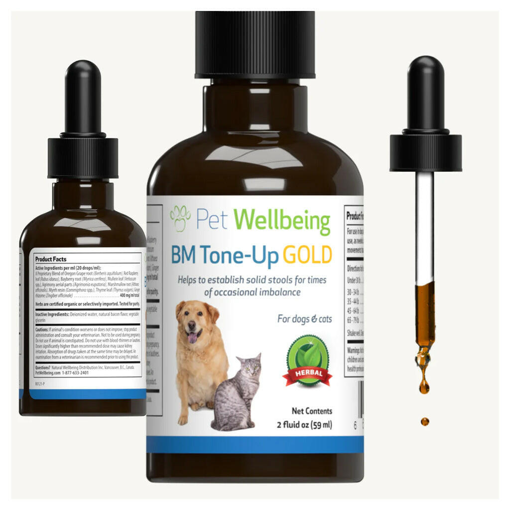 BM Tone-Up Gold for Loose Stools in Cats