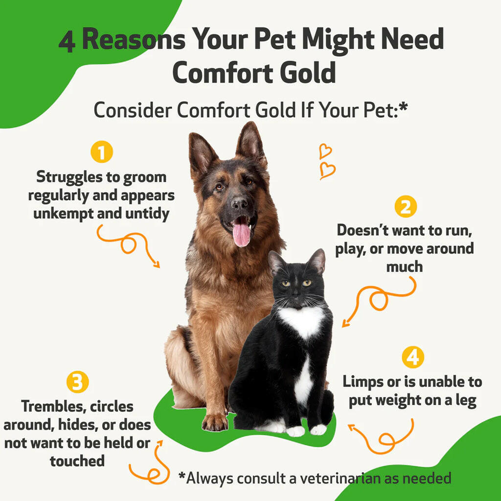 Comfort Gold for Occasional Physical Discomfort in Dogs
