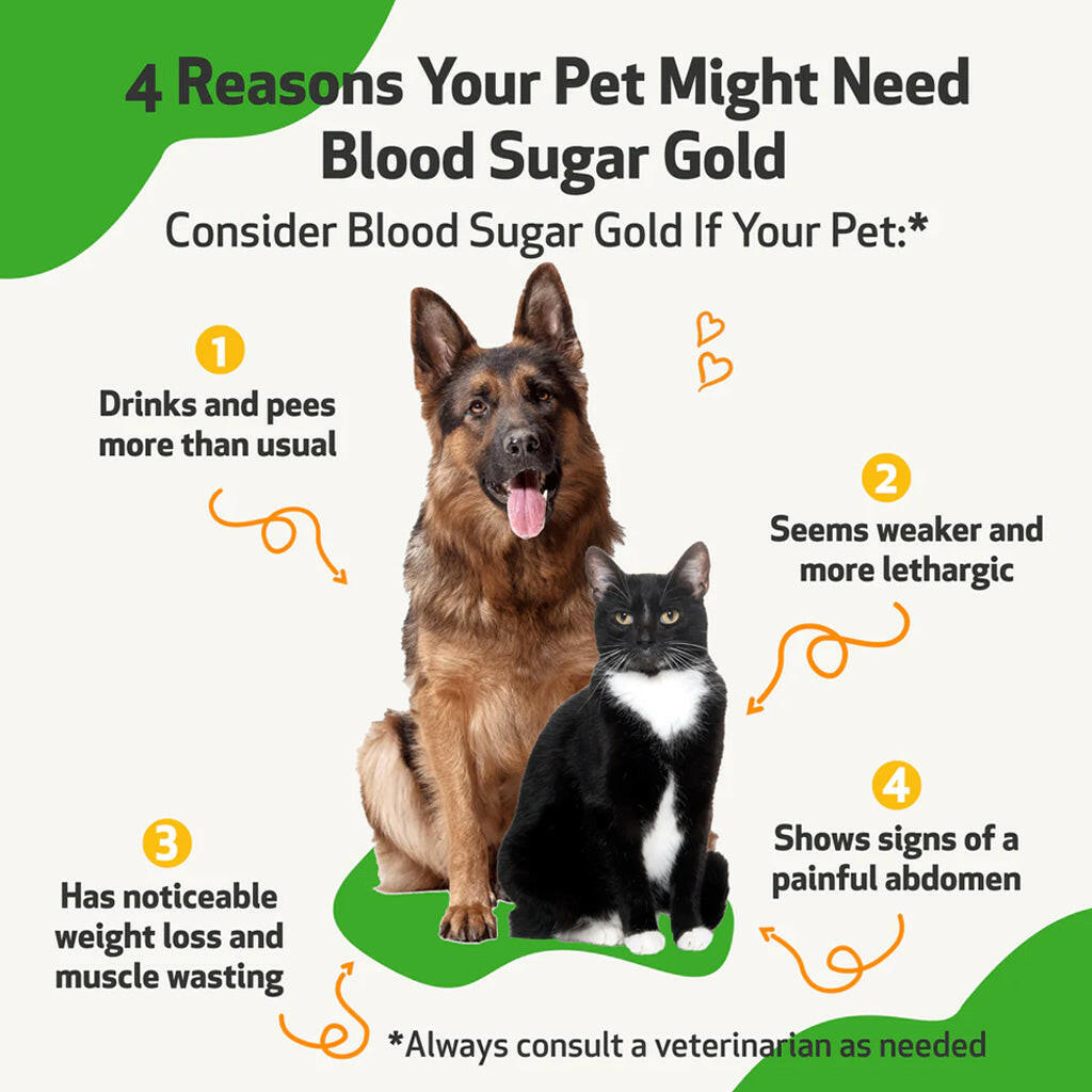 Pet Wellbeing Blood Sugar Gold for Cat Blood Sugar Support