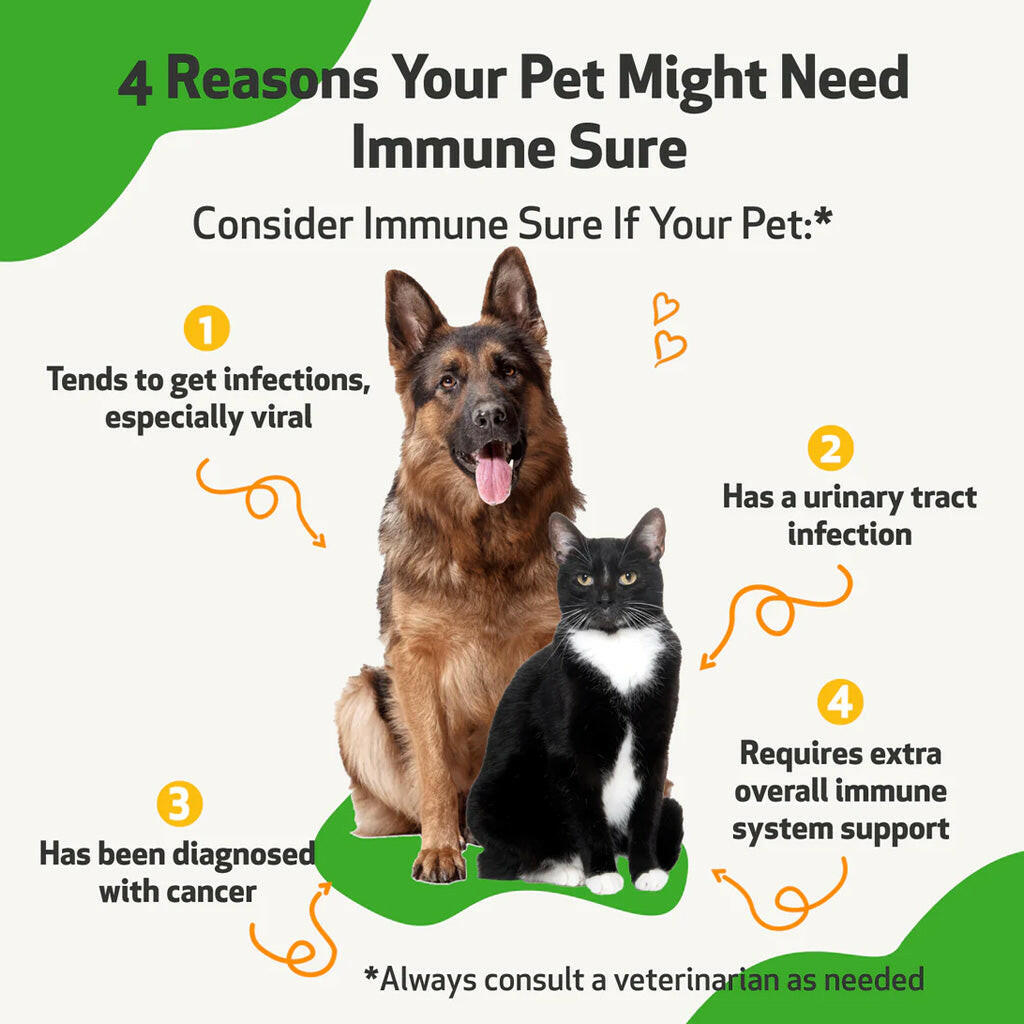 Immune SURE for Canine Immune System Support