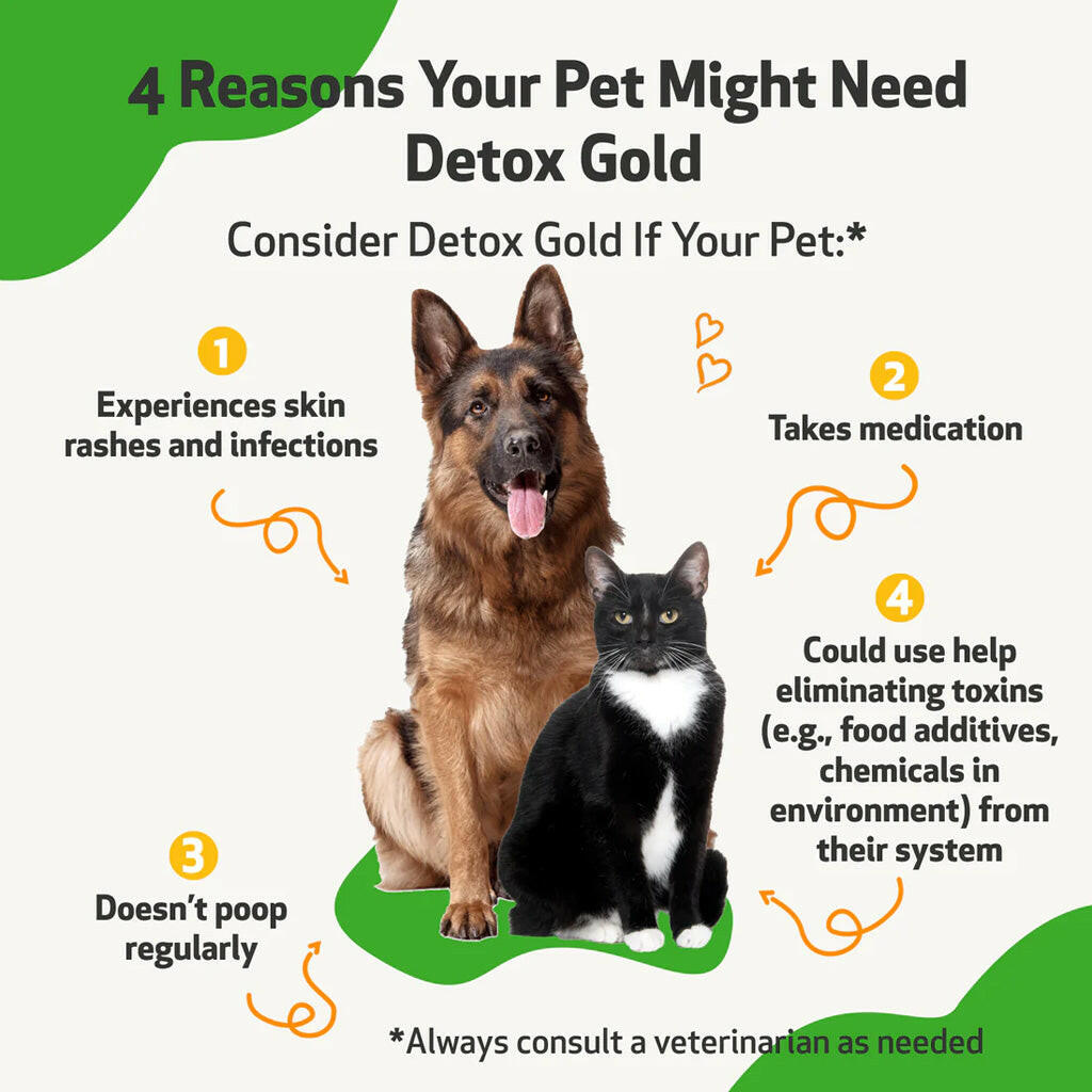 Pet Wellbeing Detox Gold for Cats