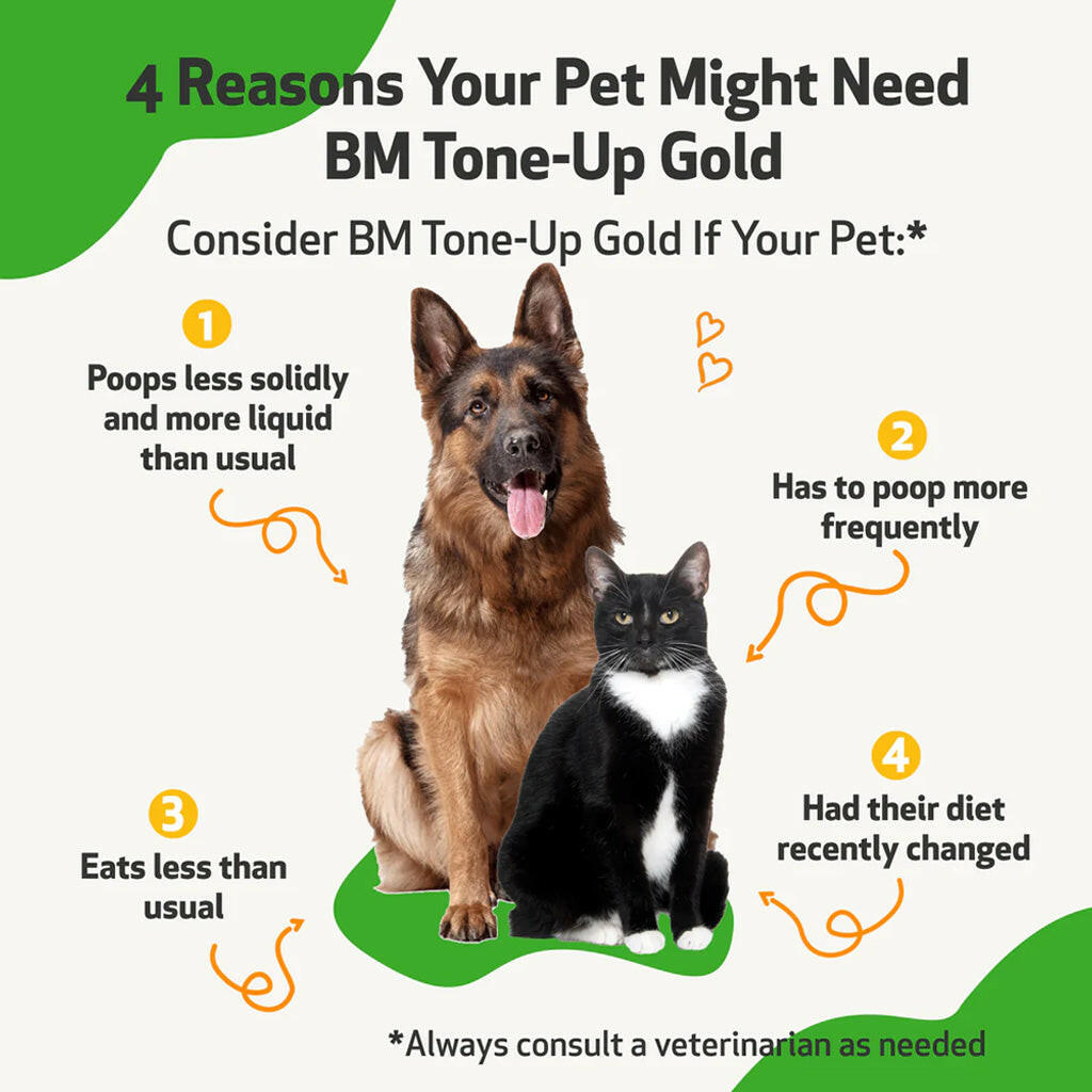 BM Tone-Up Gold for Loose Stools in Dogs