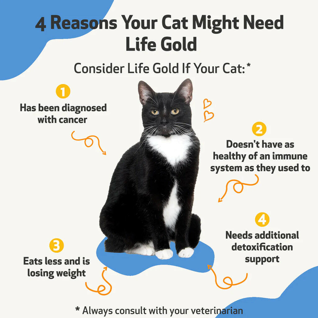 Pet Wellbeing Life Gold for Cats