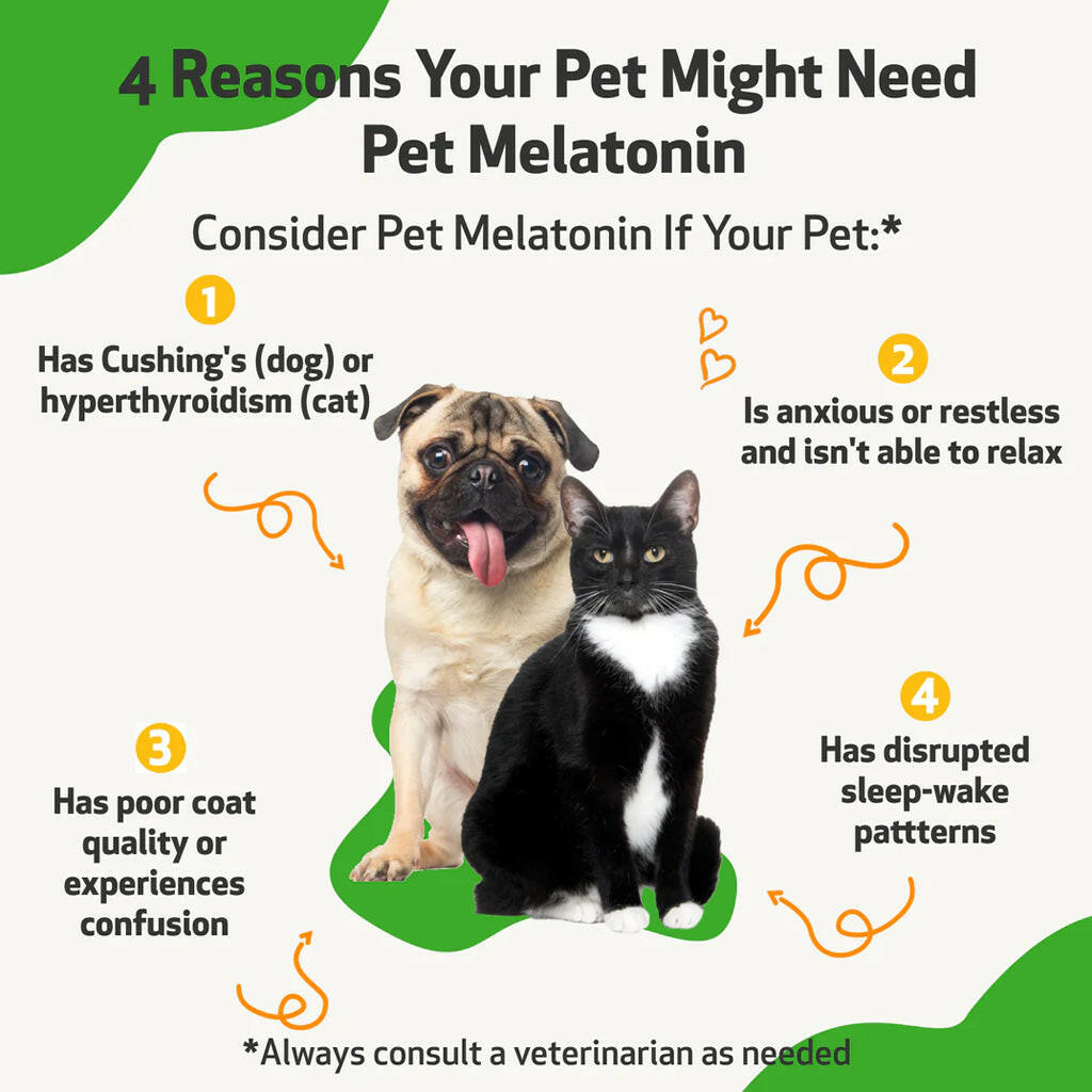 Pet Wellbeing Pet Melatonin for Dogs