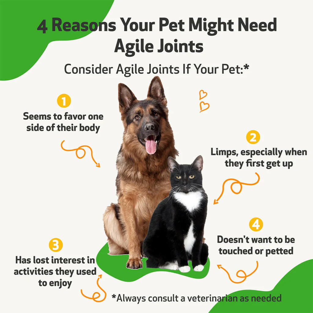 Pet Wellbeing- Agile Joints for Cat Joint Mobility