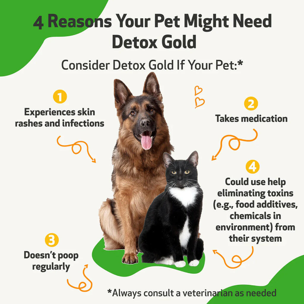 Detox Gold for Dogs - Gentle Detoxification & Elimination Support