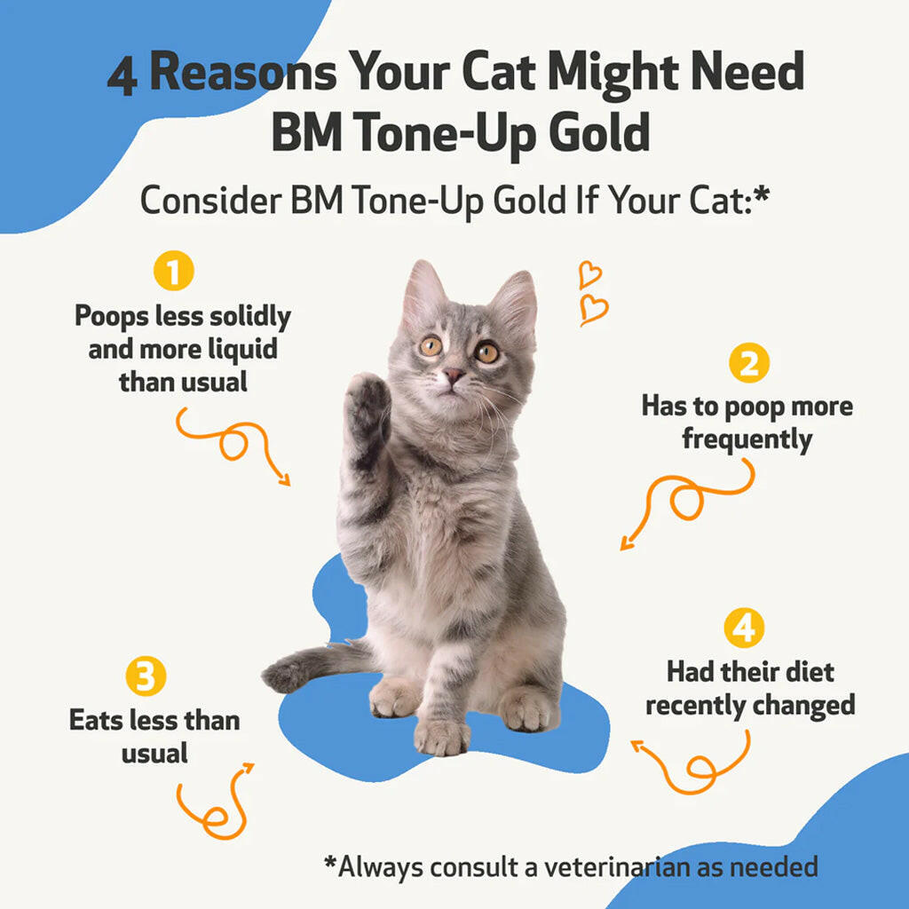 BM Tone-Up Gold for Loose Stools in Cats