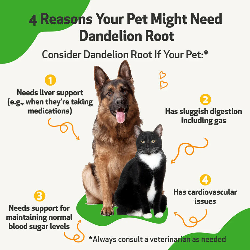 Dandelion Root Digestive & Liver Support for Cats