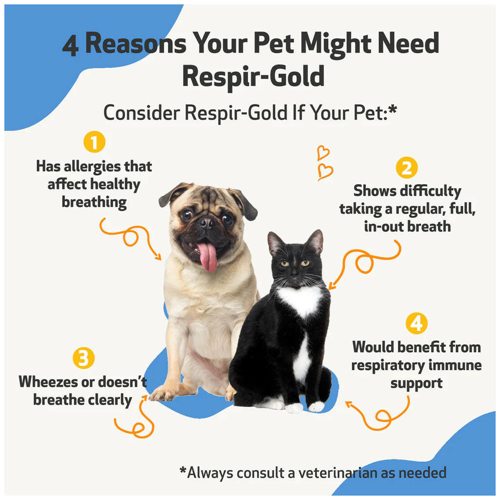 Pet Wellbeing Respir-Gold for Easy Breathing in Cats