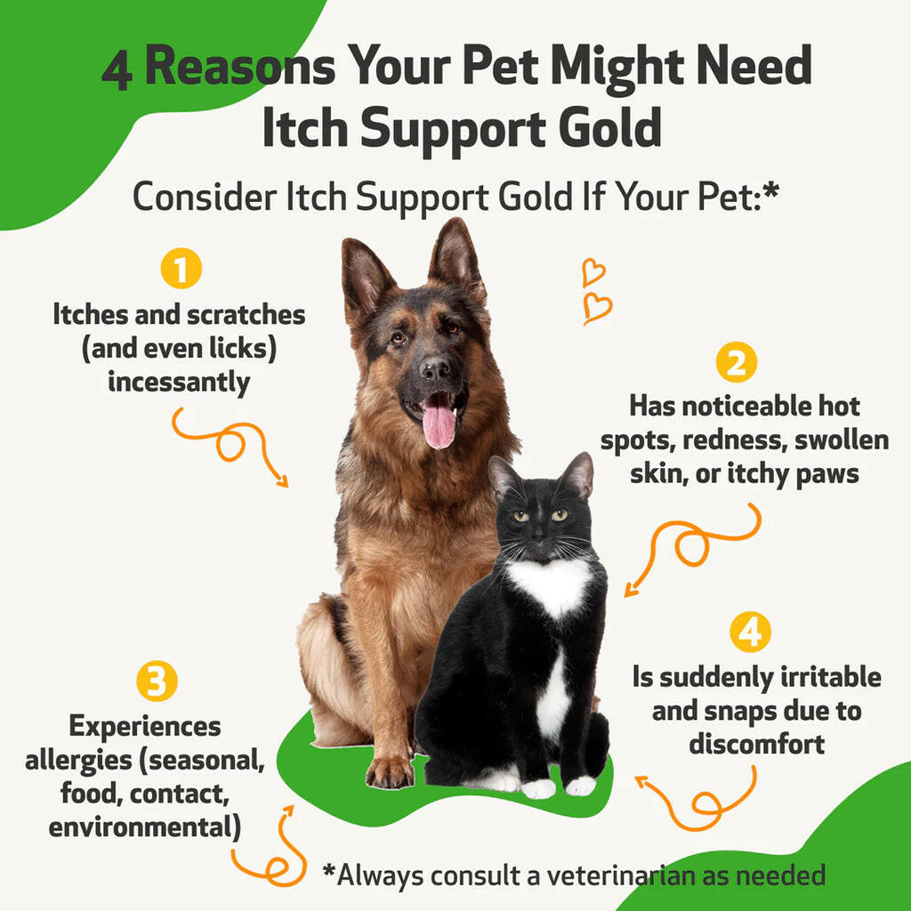 Itch Support Gold - For Allergy-Related Itch in Cats