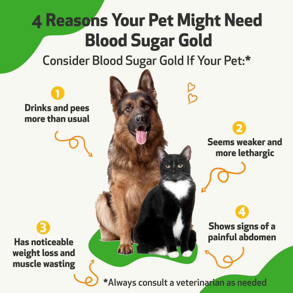 Pet Wellbeing- Blood Sugar Gold for Dog Blood Sugar