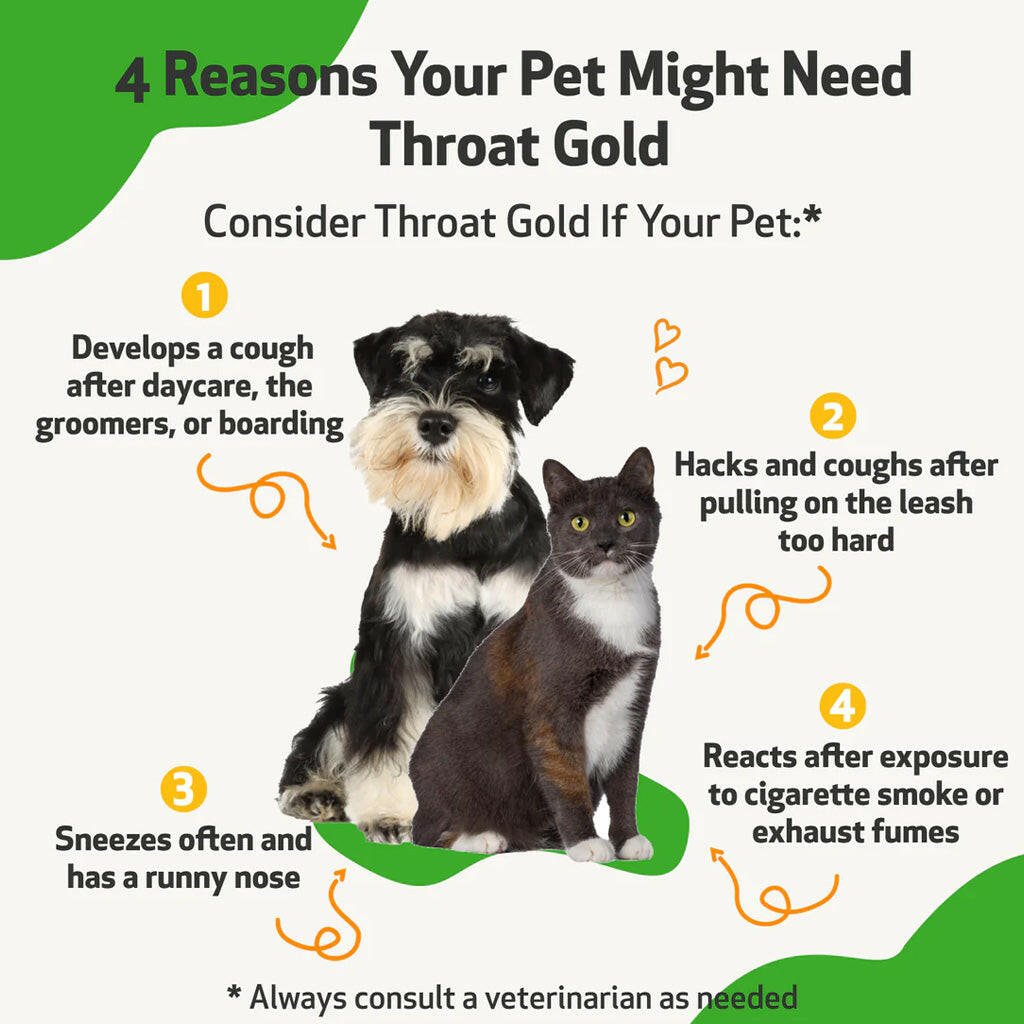 Pet Wellbeing Throat Gold for Throat Irritation in Dogs