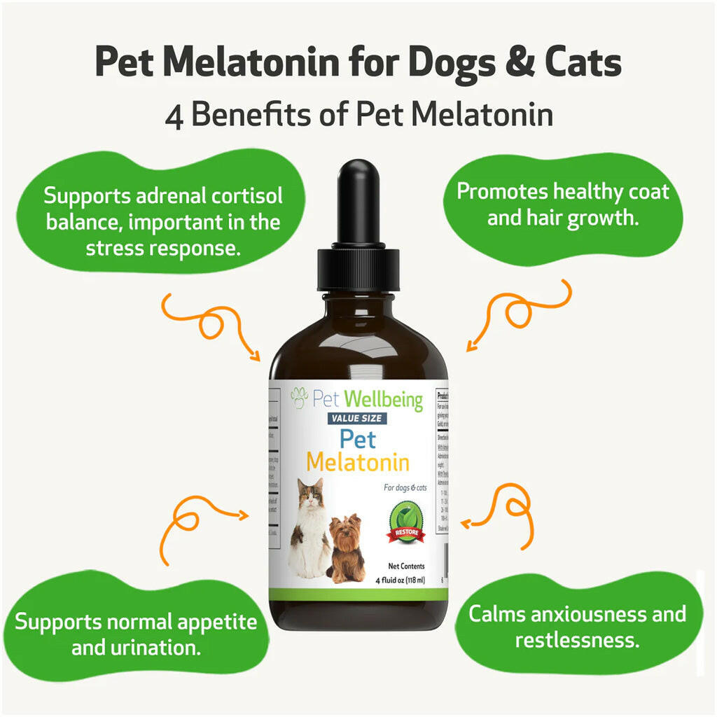 Pet Wellbeing Pet Melatonin for Dogs