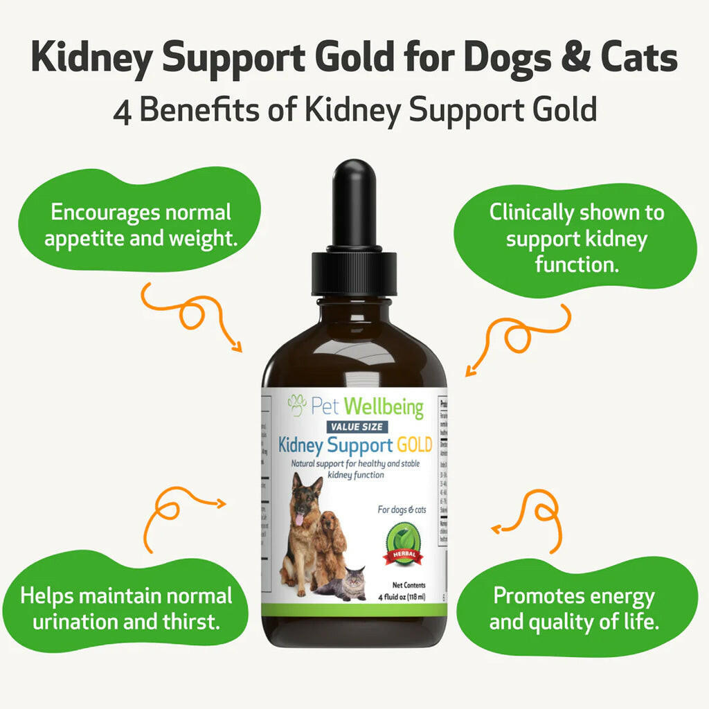Pet Wellbeing Kidney Support Gold for Dogs