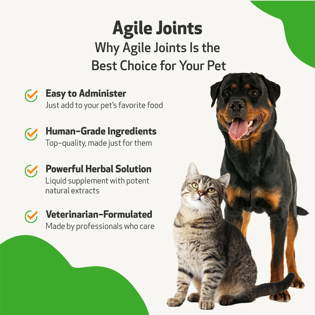 Pet Wellbeing- Agile Joints for Cat Joint Mobility