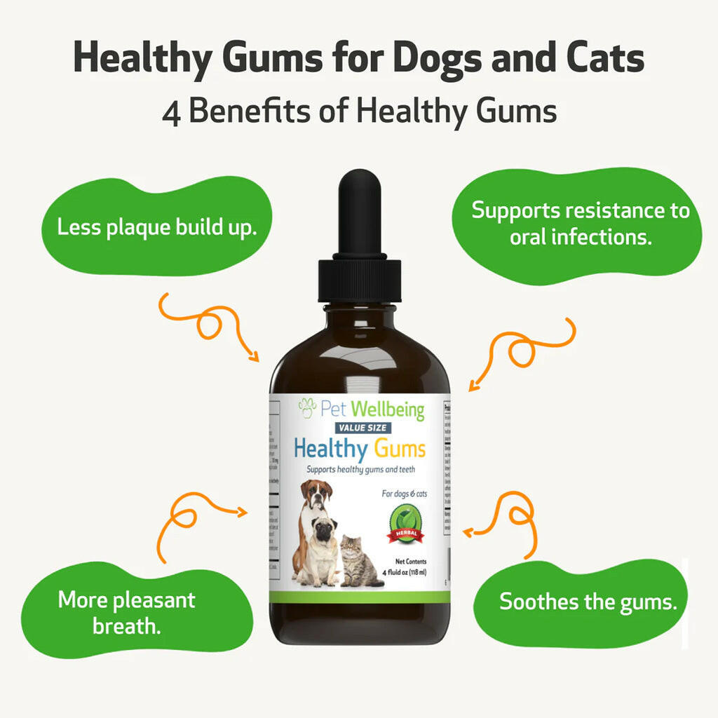 Healthy Gums for Canine Periodontal Health