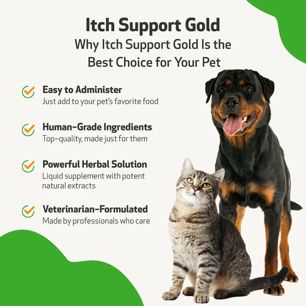 Pet Wellbeing Itch Support Gold - For Allergy-Related Itch in Dogs
