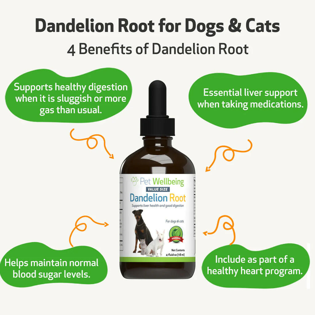 Dandelion Root Digestive & Liver Support for Cats