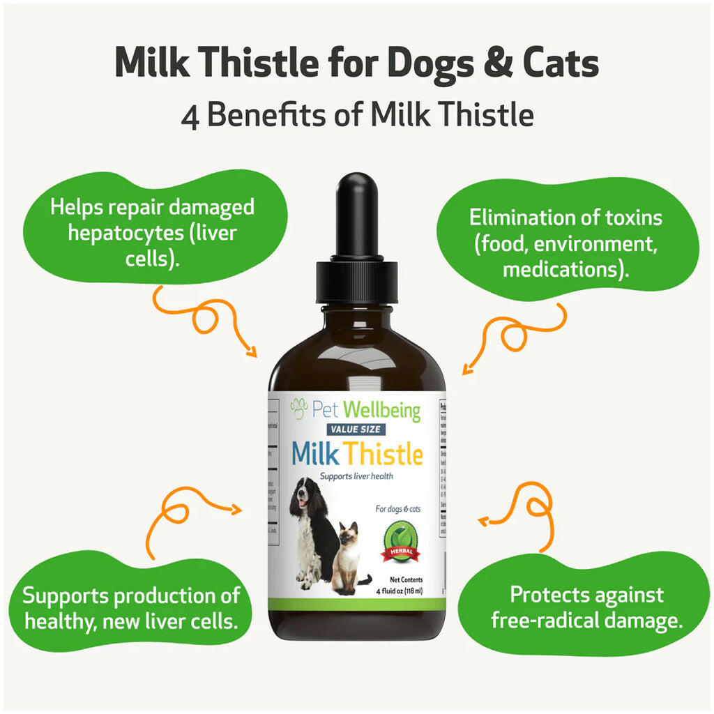 Milk Thistle Supplement for Healthy Liver Function in Dogs