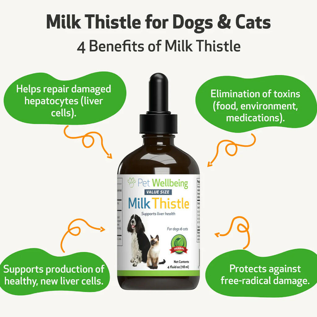 Milk Thistle - for Healthy Liver Function in Cats