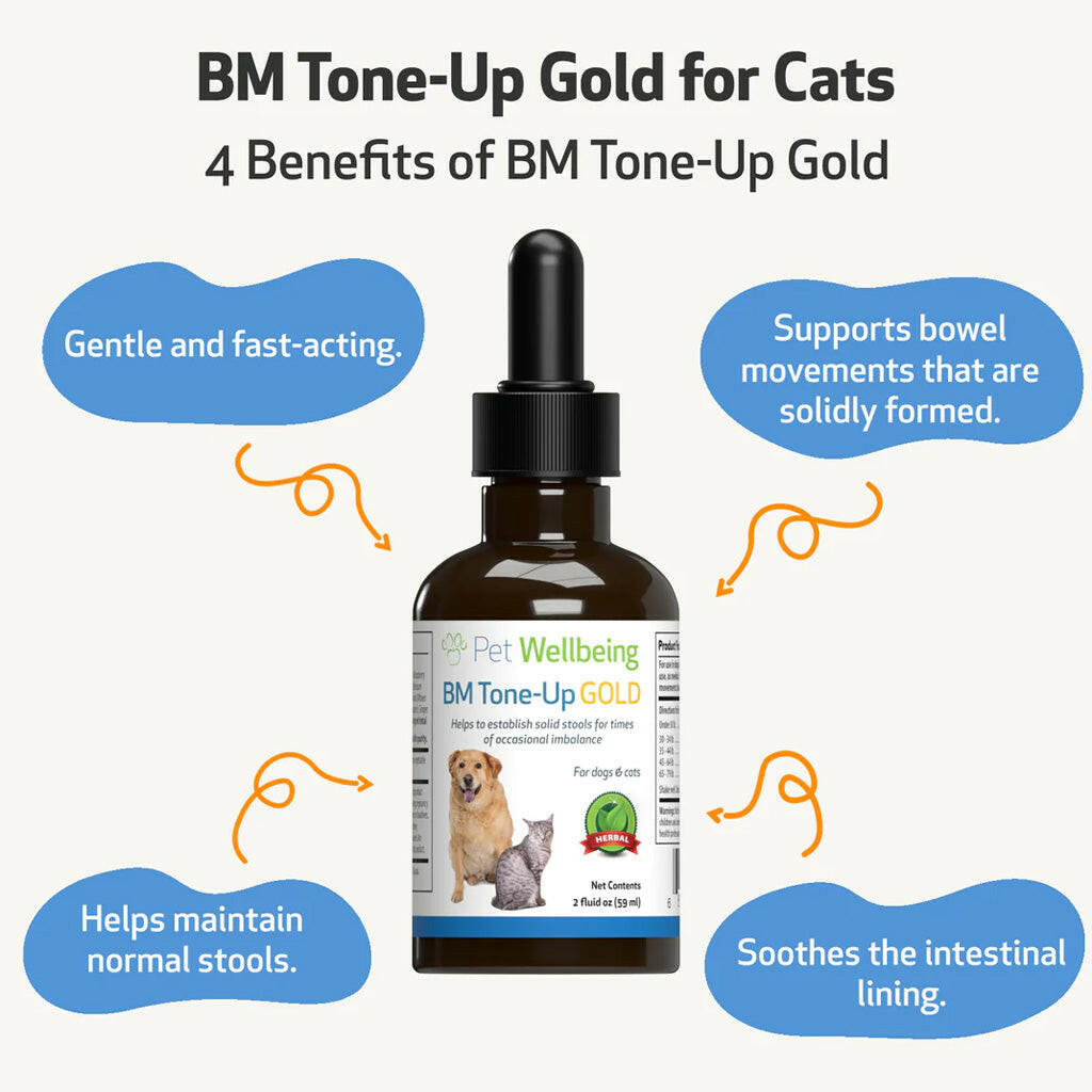 BM Tone-Up Gold for Loose Stools in Cats