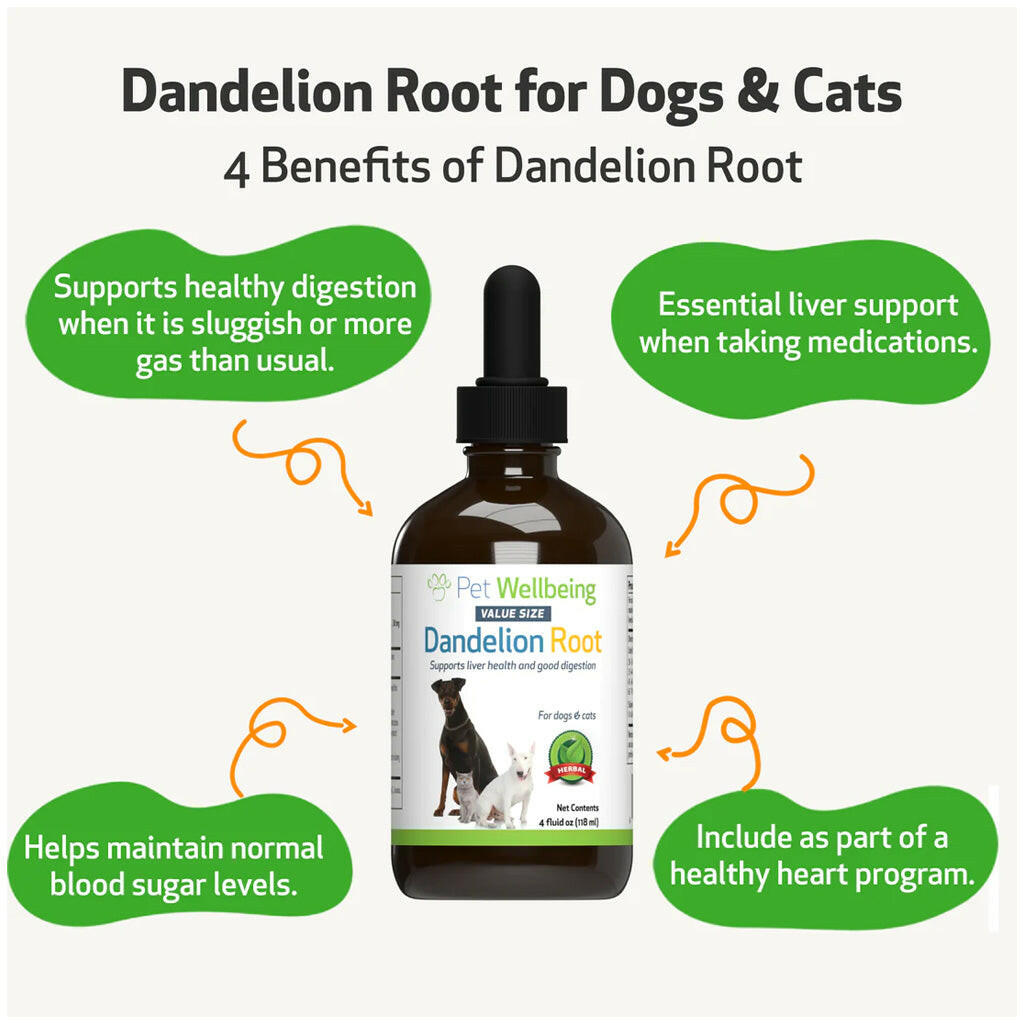 Dandelion Root Digestive & Liver Support for Dogs