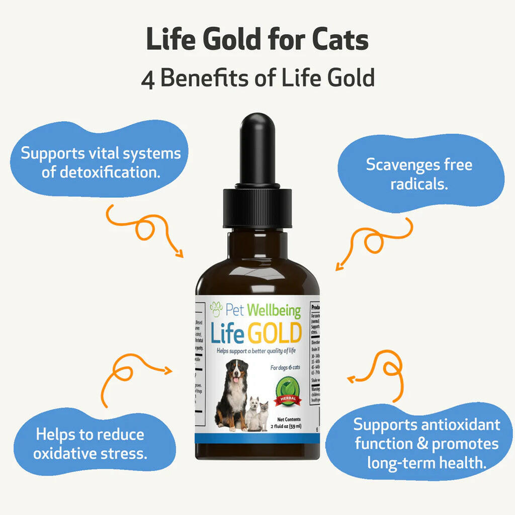 Pet Wellbeing Life Gold for Cats