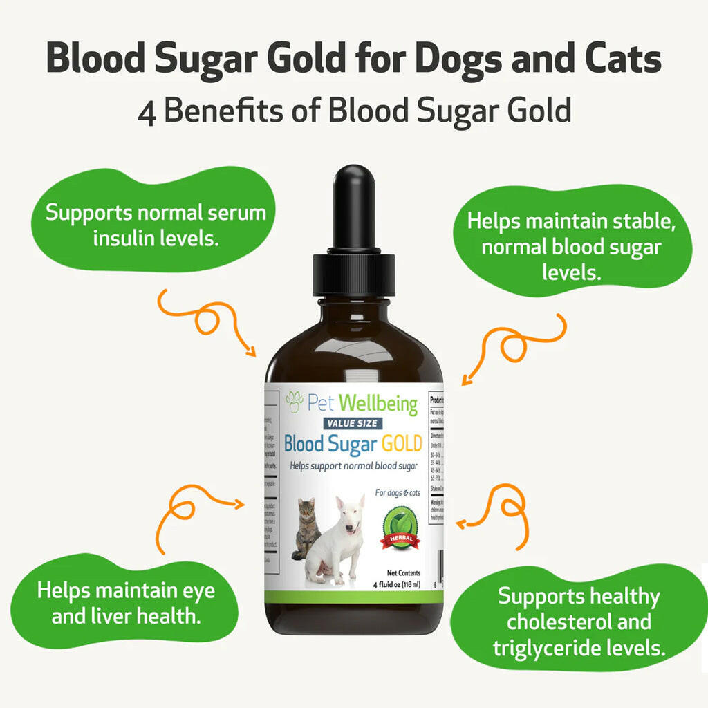 Pet Wellbeing Blood Sugar Gold for Cat Blood Sugar Support