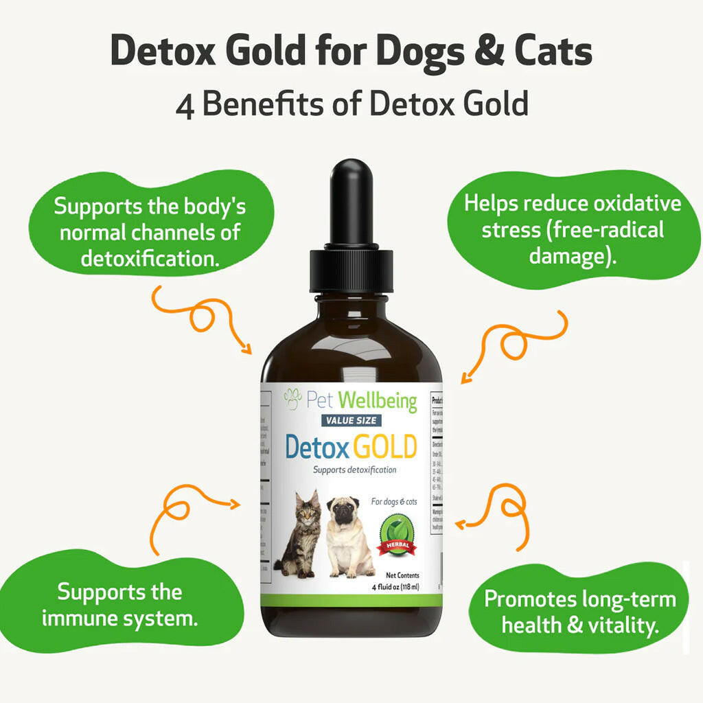 Pet Wellbeing Detox Gold for Cats