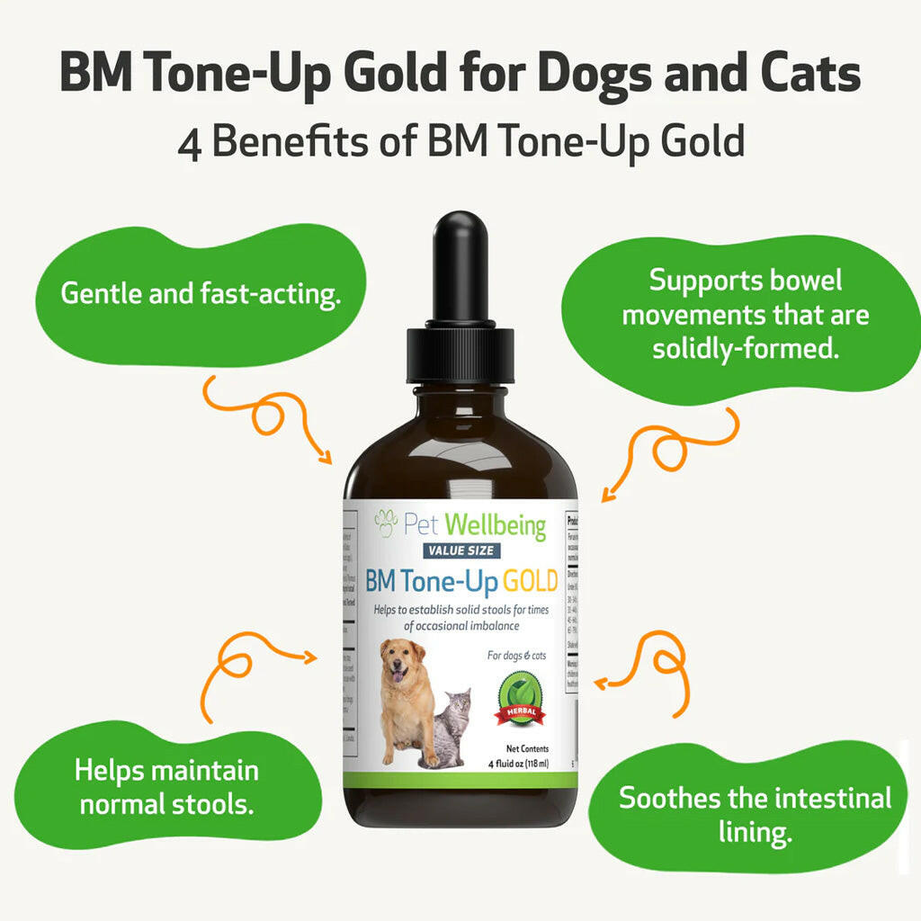 BM Tone-Up Gold for Loose Stools in Dogs