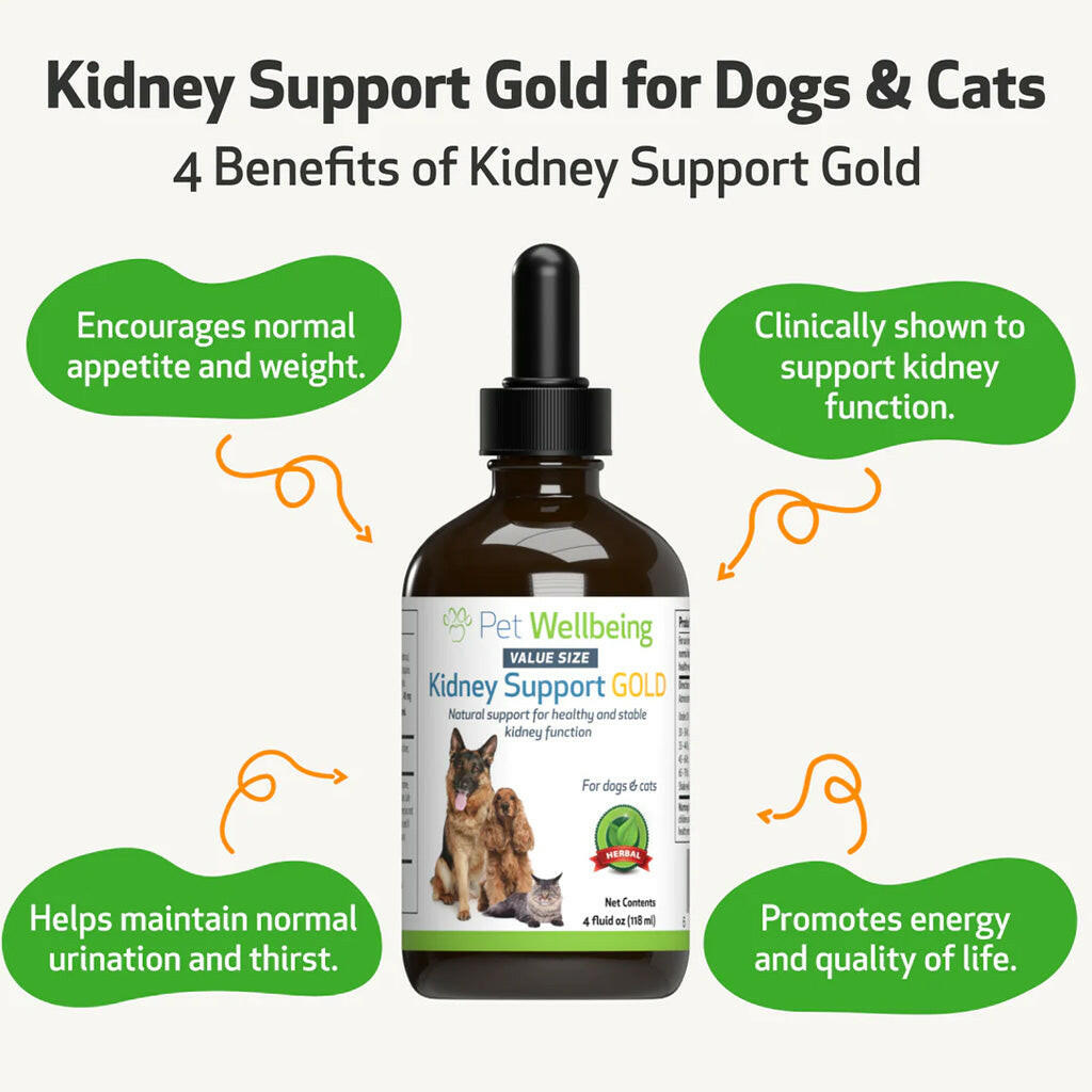 Pet Wellbeing Kidney Support Gold for Cats