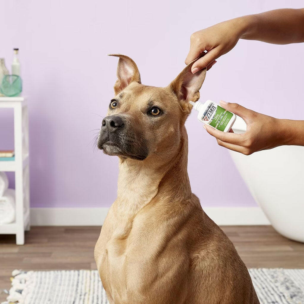 Zymox Otic Ear Treatment without Hydrocortisone