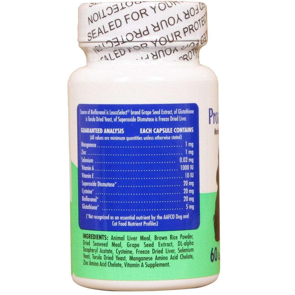 Proanthozone 20 Nutrient & Antioxidant Supplement for Medium Dogs 60 capsules